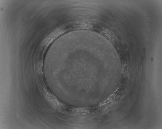 X0000082720146200702091821