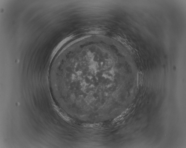 X0000082720147200702091821