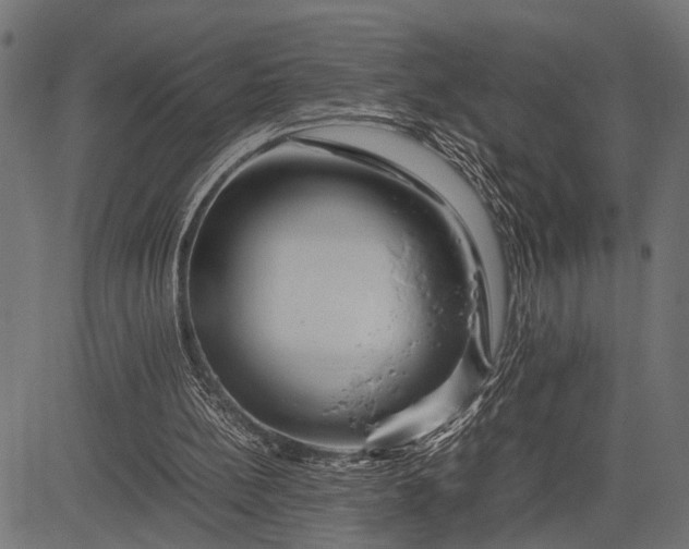 X0000082720148200702091821