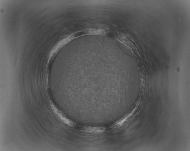 X0000082720149200702091821