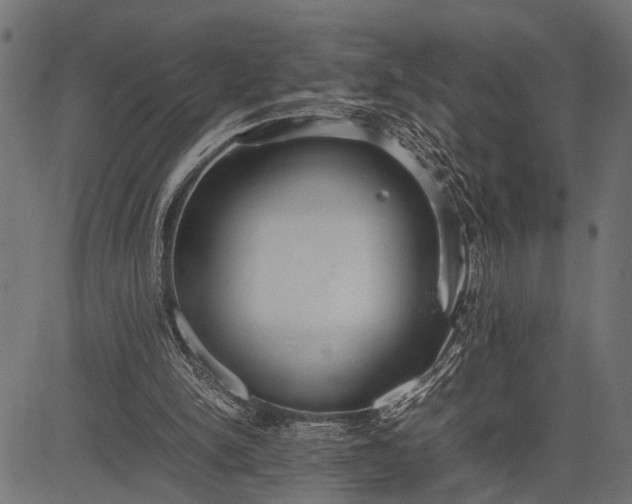 X0000082720150200702091821