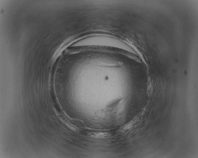 X0000082720151200702091821