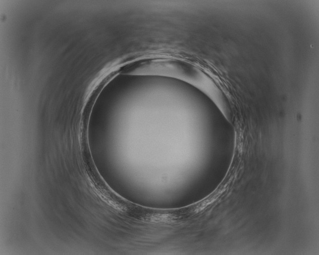 X0000082720152200702091821