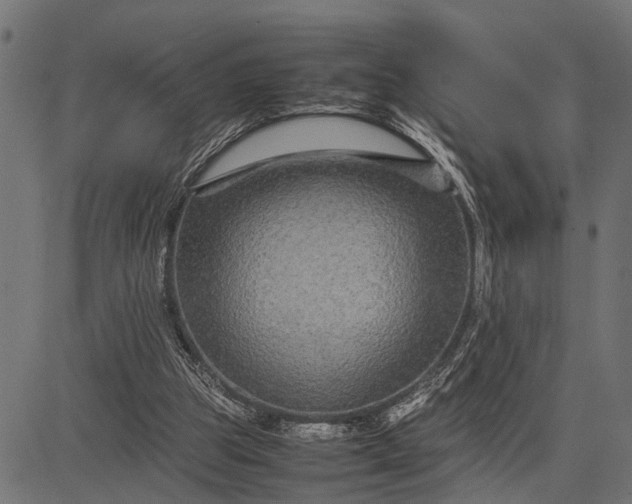 X0000082720153200702091821