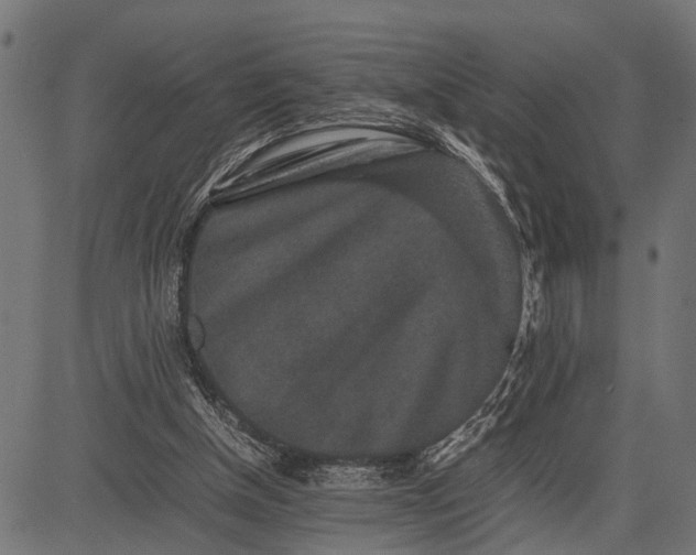 X0000082720154200702091821