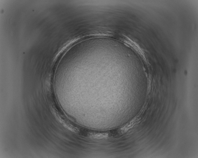 X0000082720155200702091821