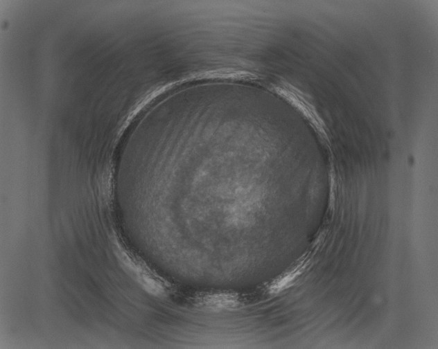 X0000082720156200702091821