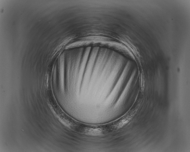 X0000082720157200702091821