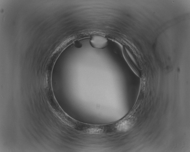 X0000082720158200702091821