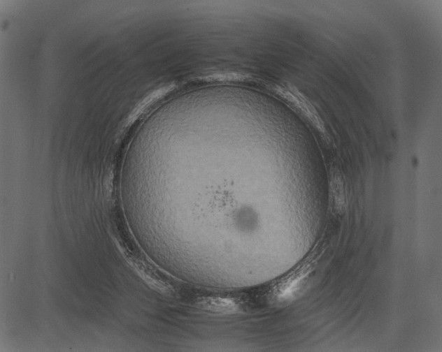 X0000082720159200702091821