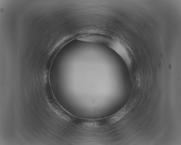 X0000082720160200702091821