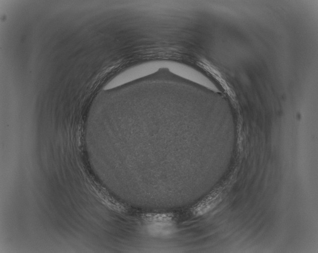 X0000082720161200702091821