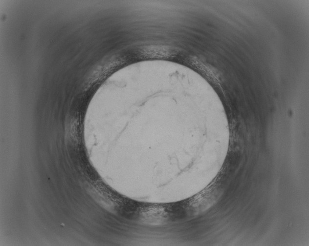 X0000082720162200702091821