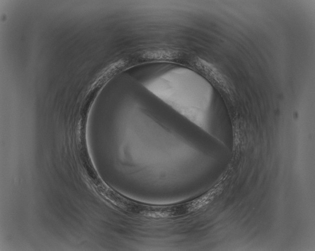 X0000082720163200702091821