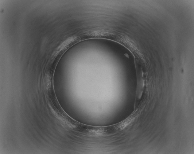 X0000082720164200702091821