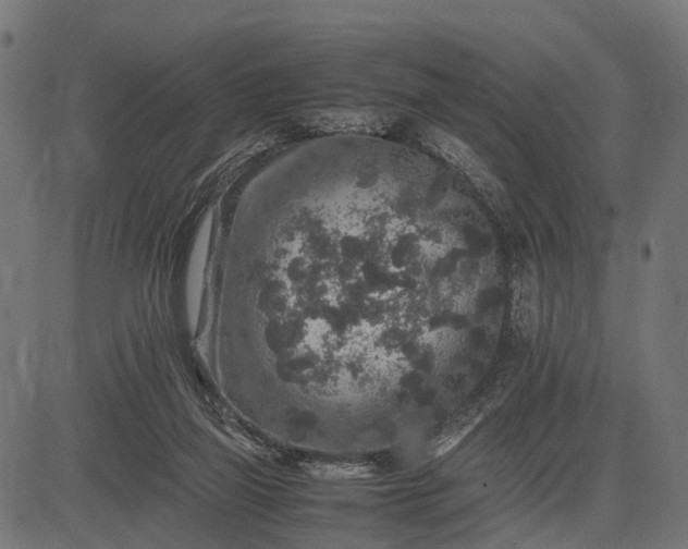 X0000082720165200702091821