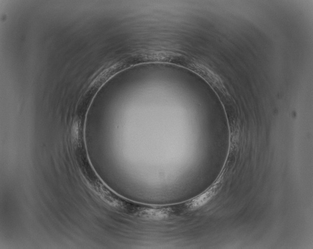 X0000082720166200702091821