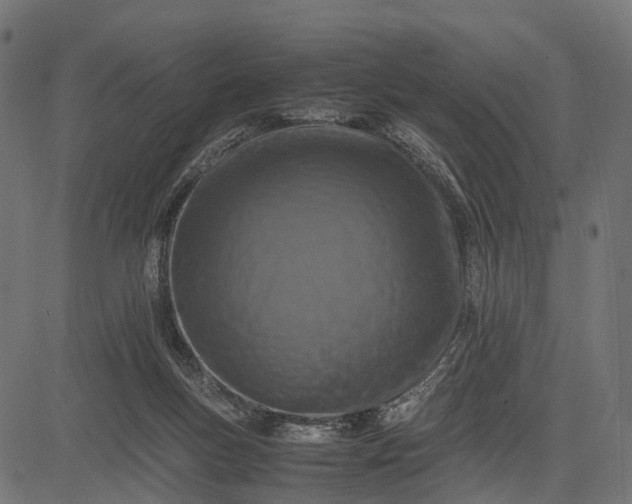 X0000082720167200702091821