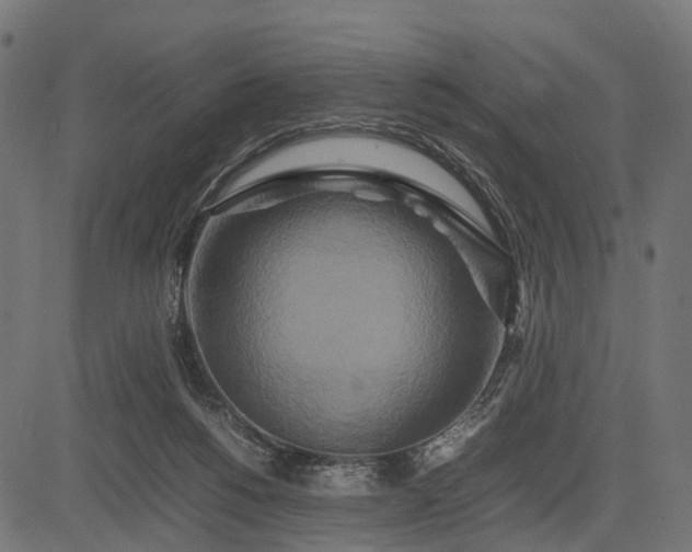 X0000082720168200702091821