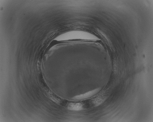 X0000082720169200702091821