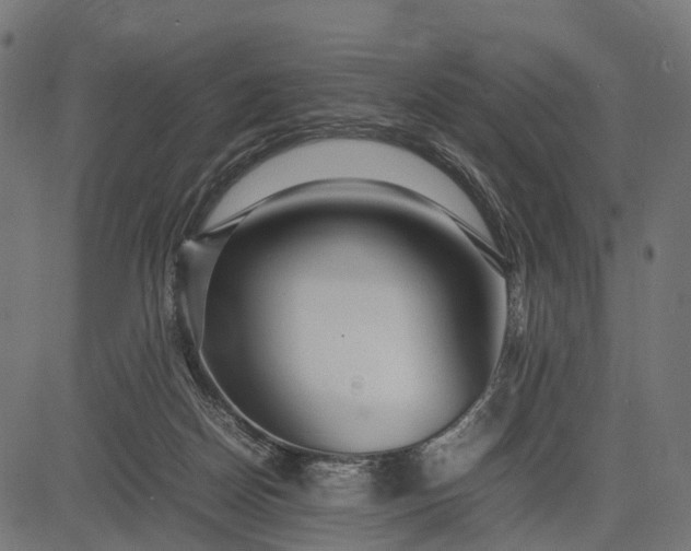 X0000082720170200702091821