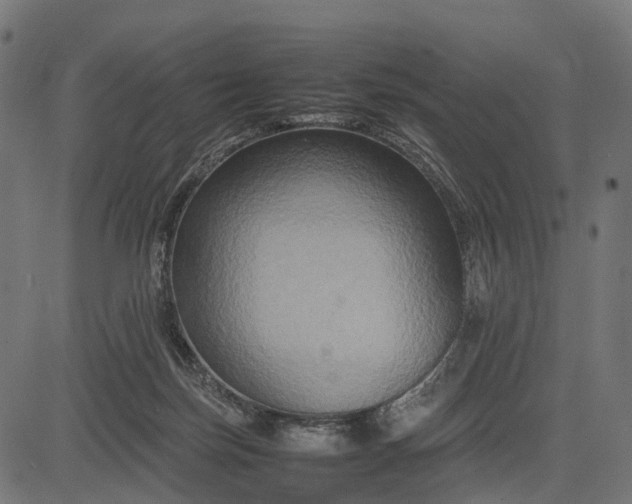 X0000082720171200702091821