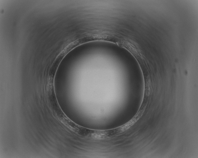 X0000082720172200702091821