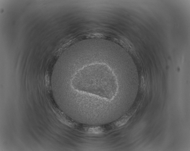 X0000082720173200702091821