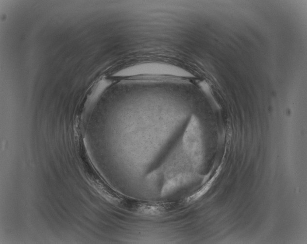 X0000082720174200702091822