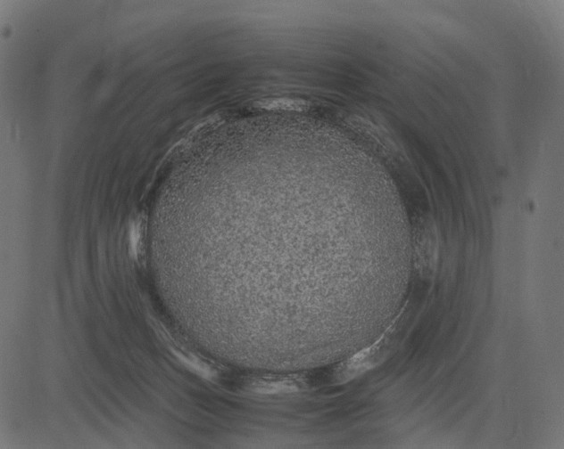 X0000082720175200702091822