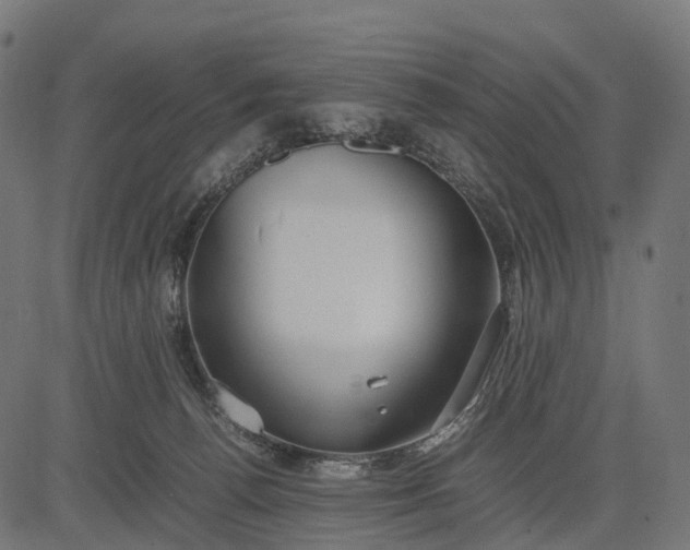 X0000082720176200702091822