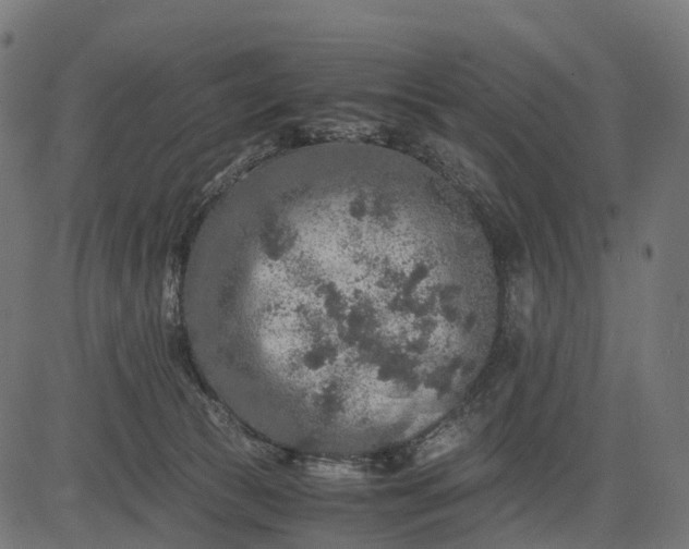 X0000082720177200702091822