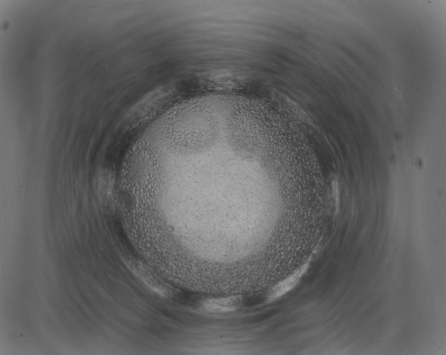 X0000082720178200702091822