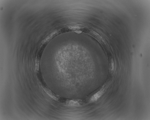 X0000082720180200702091822