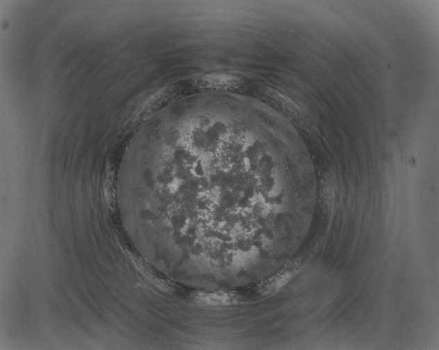 X0000082720181200702091822