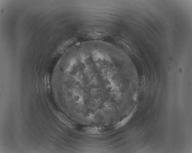 X0000082720182200702091822