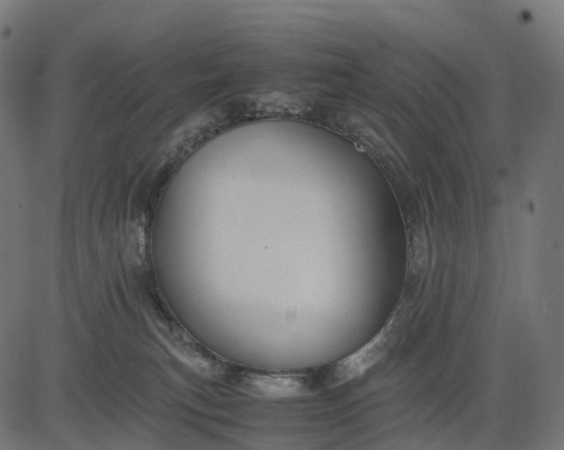 X0000082720183200702091822