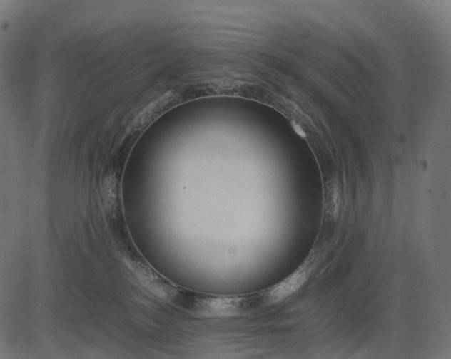 X0000082720184200702091822