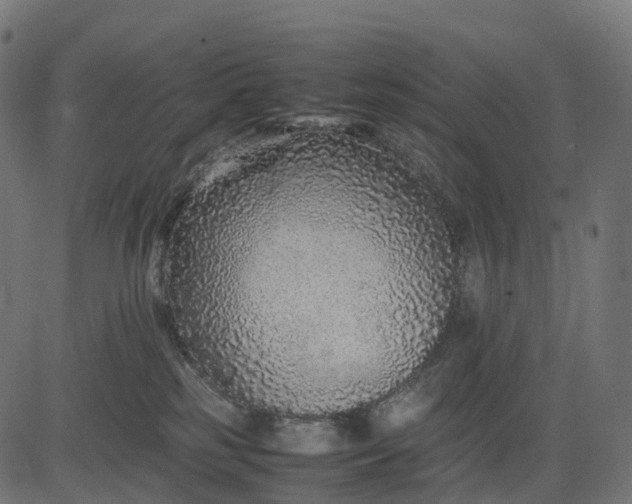 X0000082720185200702091822