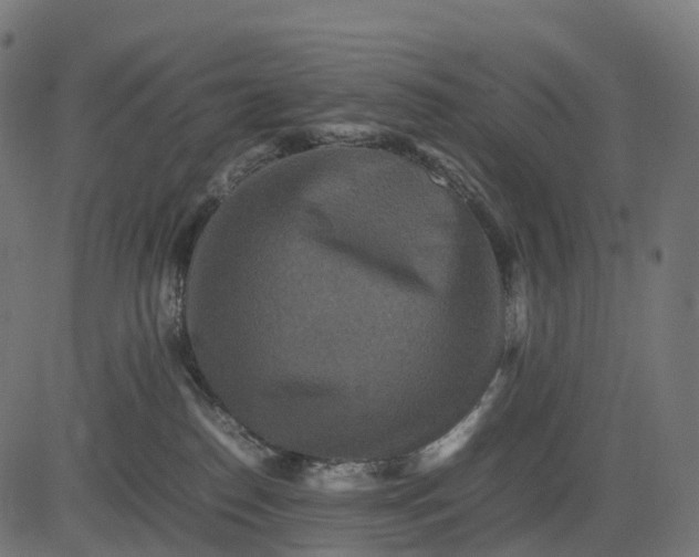 X0000082720186200702091822