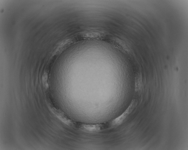 X0000082720187200702091822