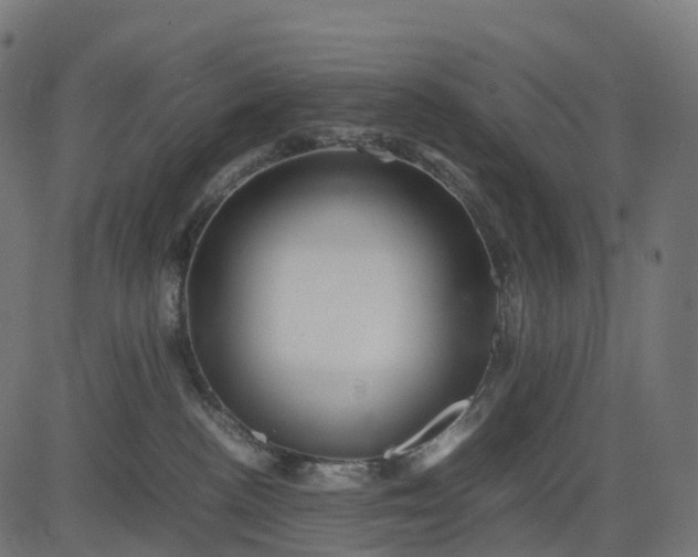 X0000082720188200702091822