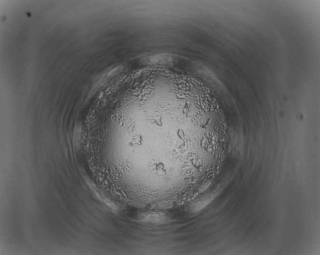 X0000082720189200702091822