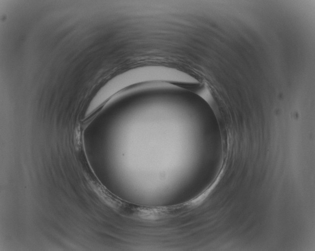 X0000082720190200702091822