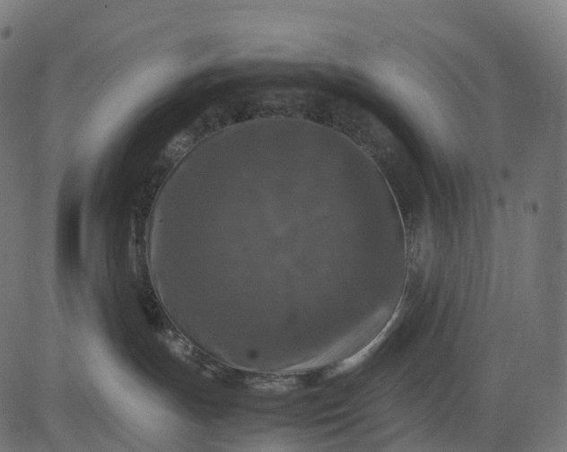 X0000082720191200702091822