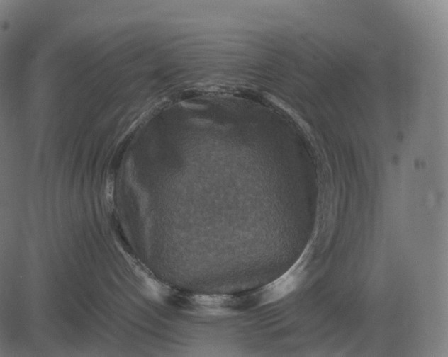 X0000082720192200702091822