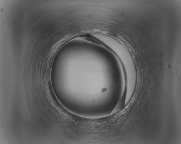 X0000082720193200702091821