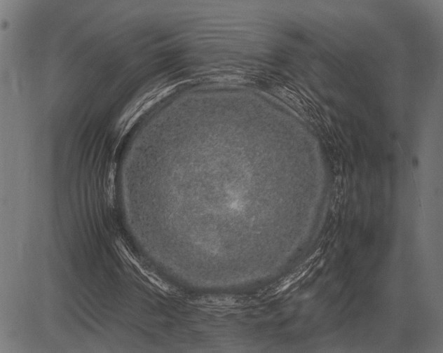 X0000082720194200702091821