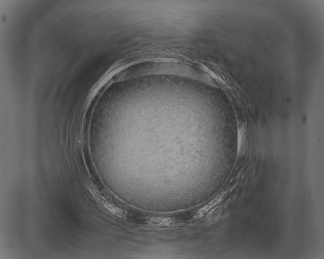 X0000082720195200702091821