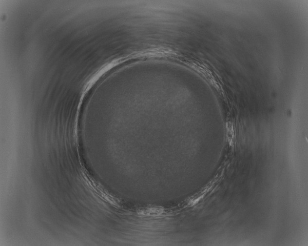 X0000082720196200702091821